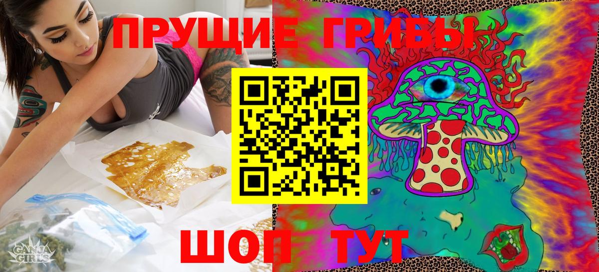 Галлюциногенные грибы Psilocybine cubensis  Псилоцибиновые грибы прущие грибы  Вход с VPN  купить  цена  Александров 